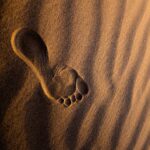 jeremy-bishop--mMEEkgj5fU-unsplash