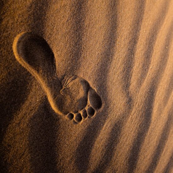 Self-love is the basis for self-improvement